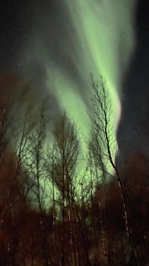 Stor Hytte I Olderfjord Villa Russenes Dış mekan fotoğraf